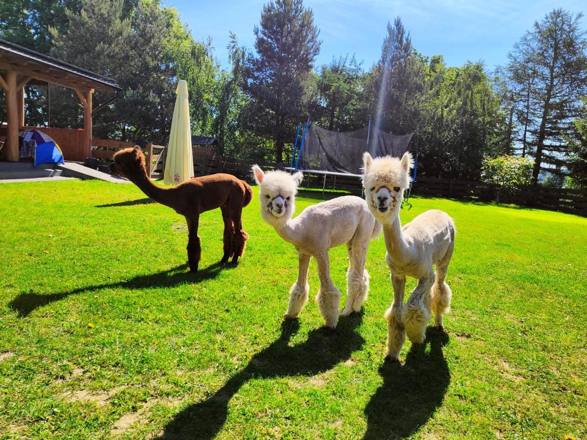Domek Na Slonecznikowej Chmielno Extérieur photo