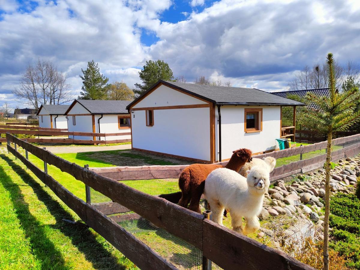 Domek Na Slonecznikowej Chmielno Extérieur photo