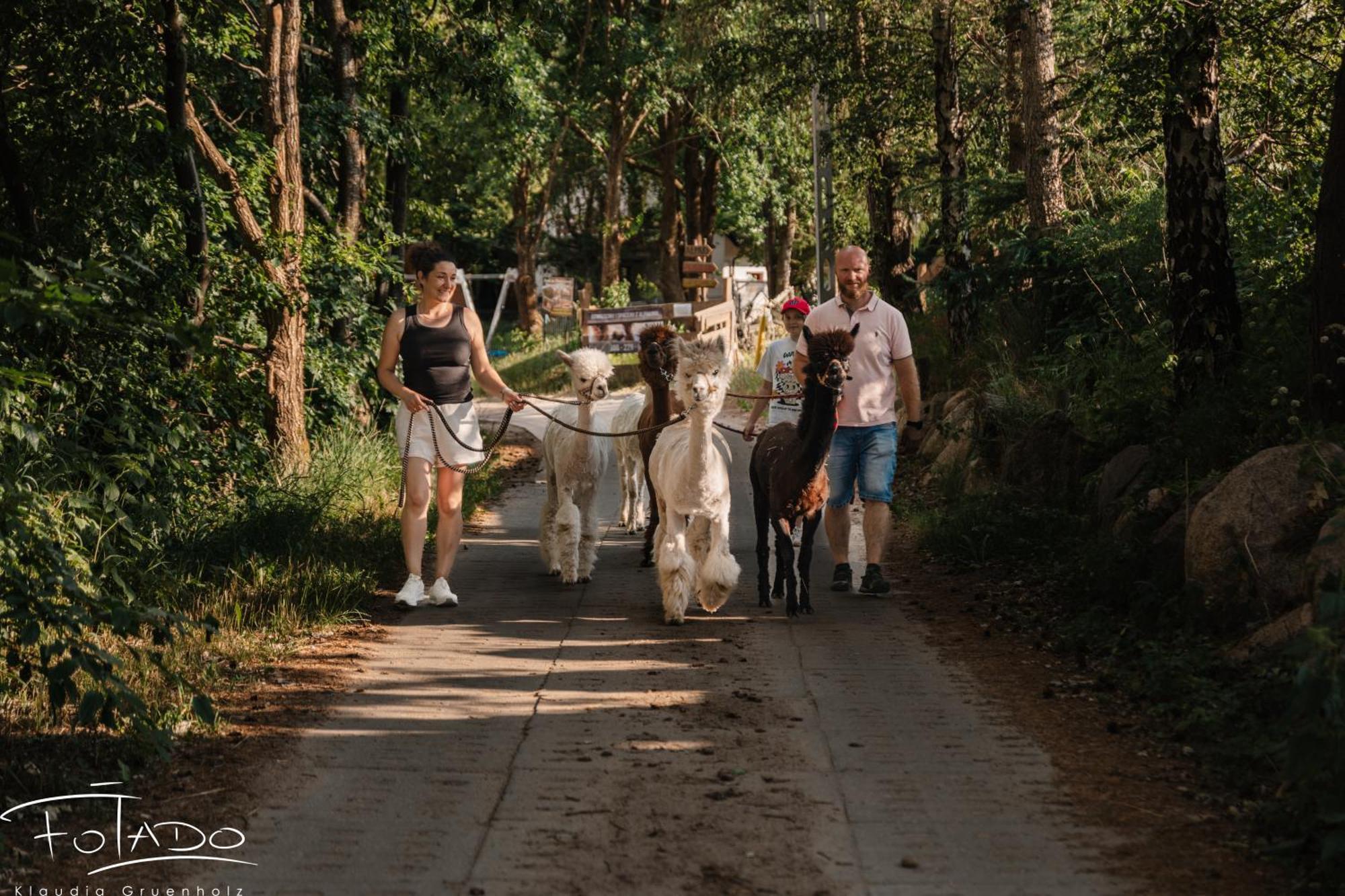 Domek Na Slonecznikowej Chmielno Extérieur photo