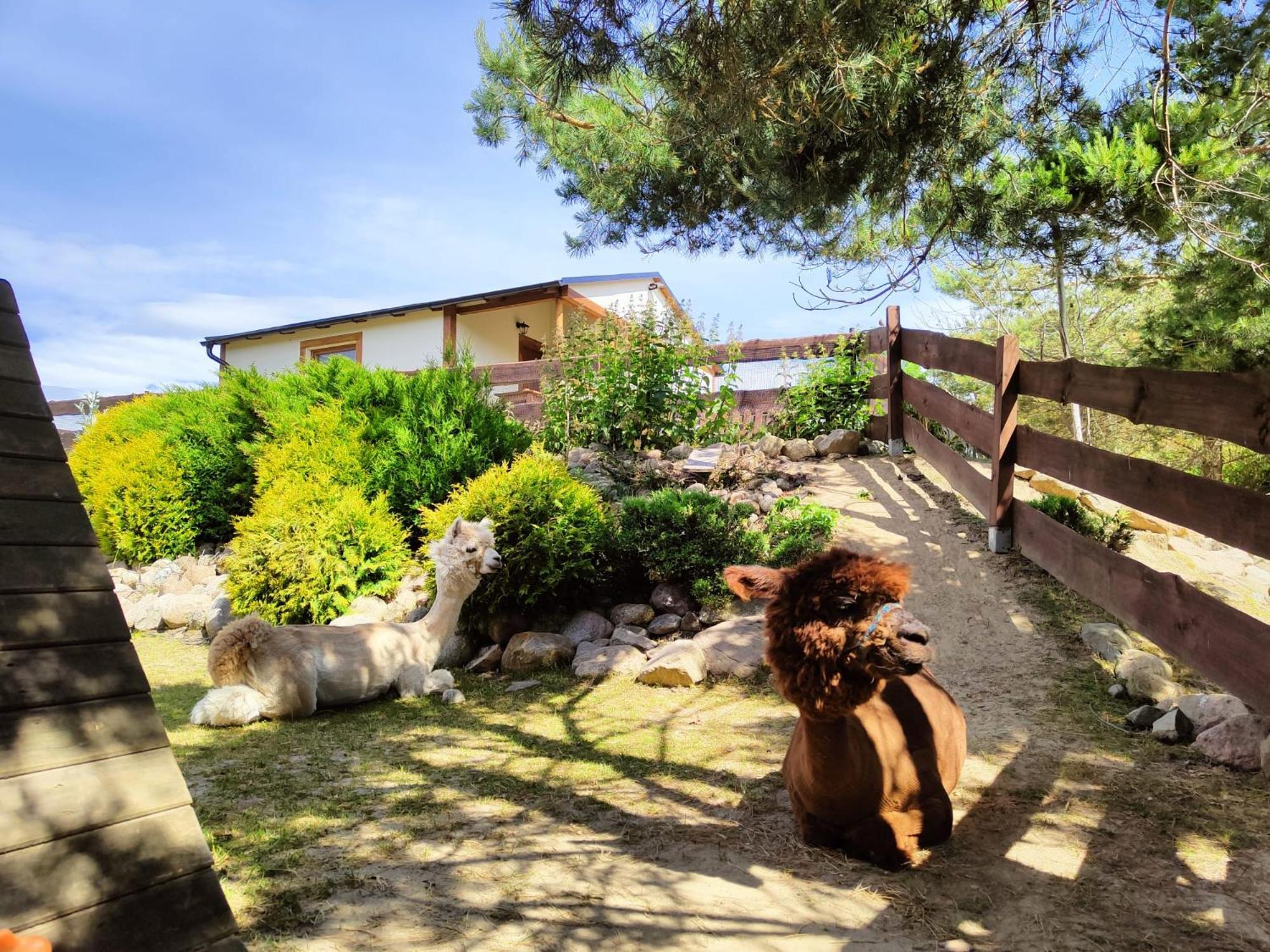 Domek Na Slonecznikowej Chmielno Extérieur photo